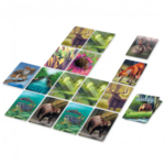 Ecosystème - Forêt – Image 2
