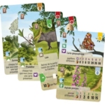 Forêt Mixte - Lisière de forêt – Image 2