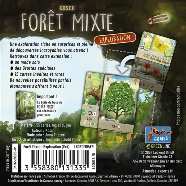 Forêt Mixte - Exploration – Image 2