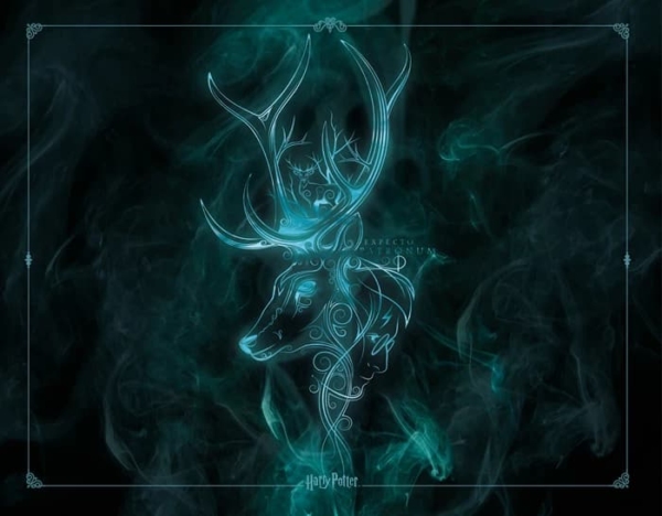 Tapis de Jeu Neoprene 90x70 cm - Harry Potter Patronus