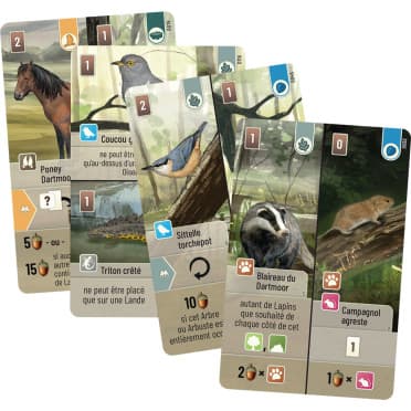 Forêt Mixte : Dartmoor – Image 2